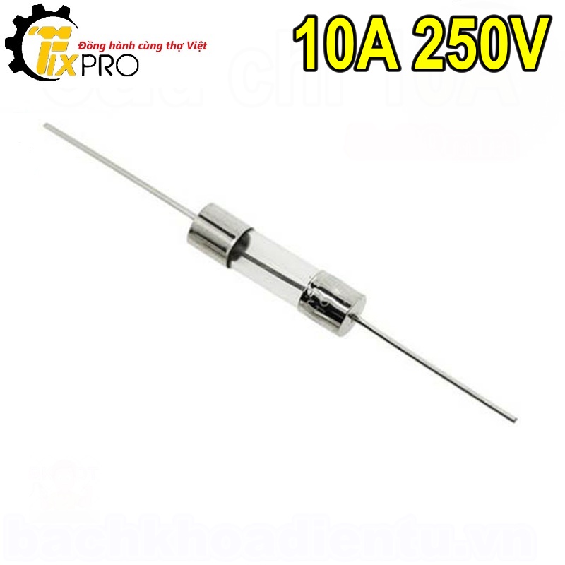 Cầu chì chân cắm 10a 250v 5x20mm.