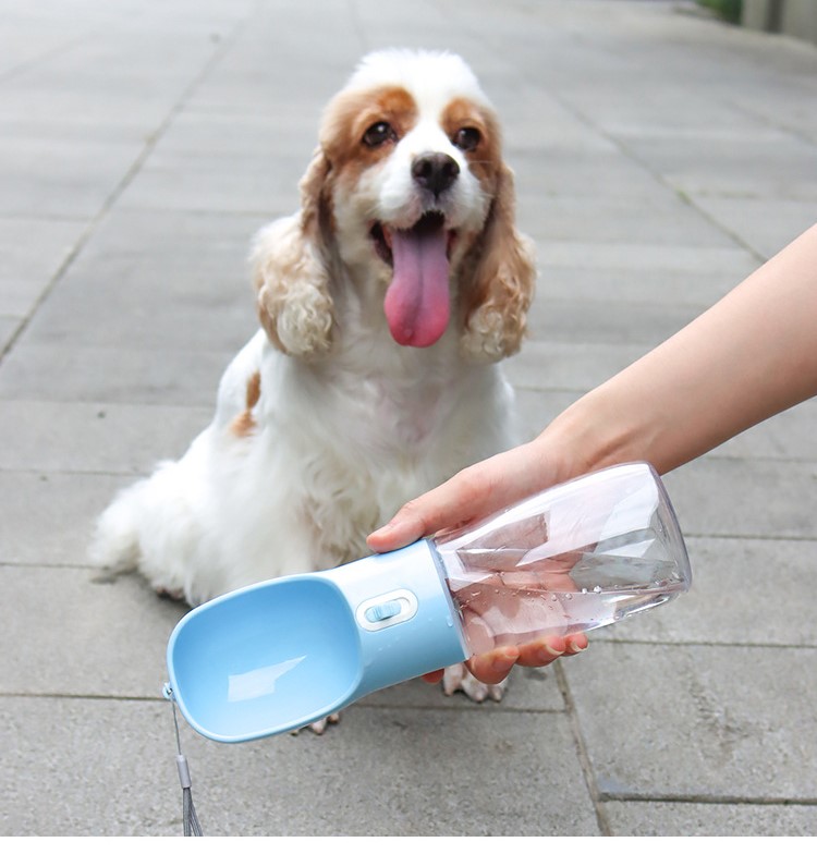 bình nước du lịch 350ml cho chó mèo - T3 PETS SHOP