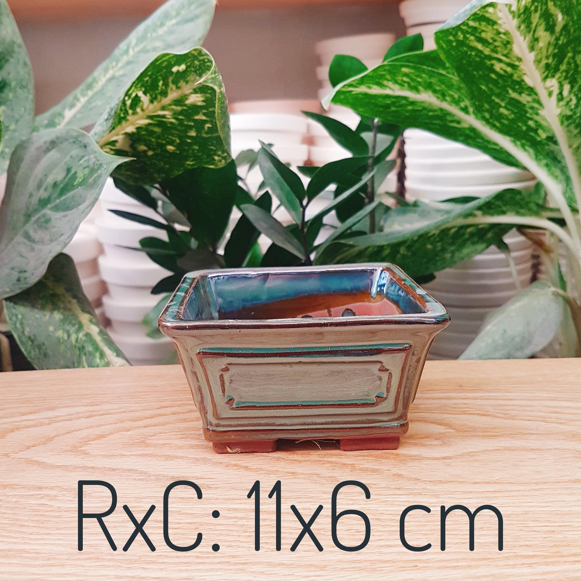 [HCM]Chậu Sứ Trồng Cây Cảnh Để Bàn Cây Nội Thất Cây Bonsai Hoa kiểng Hình Vát Vuông