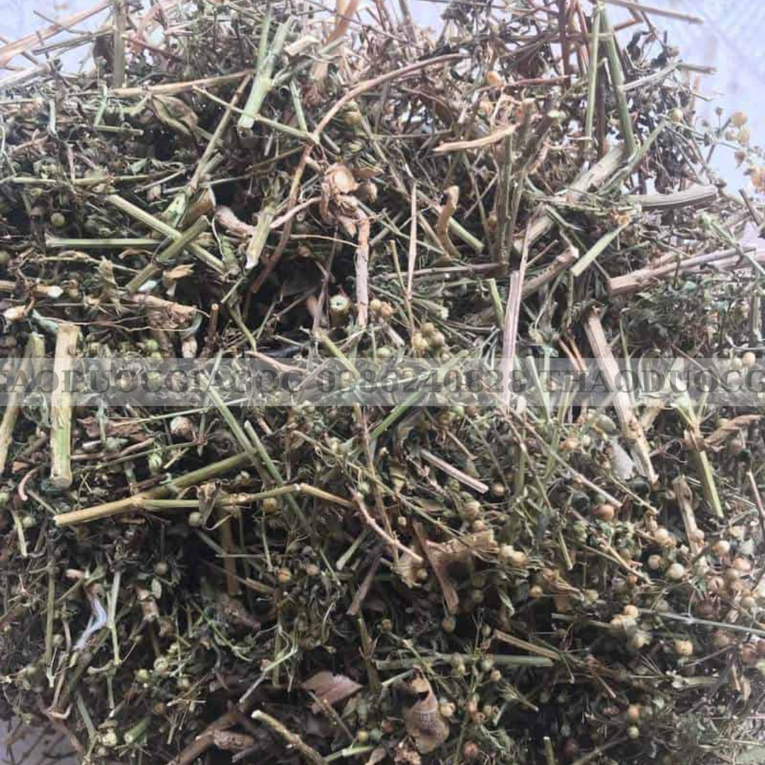 Cây cam thảo đất khô 1kg xanh thơm sạch.