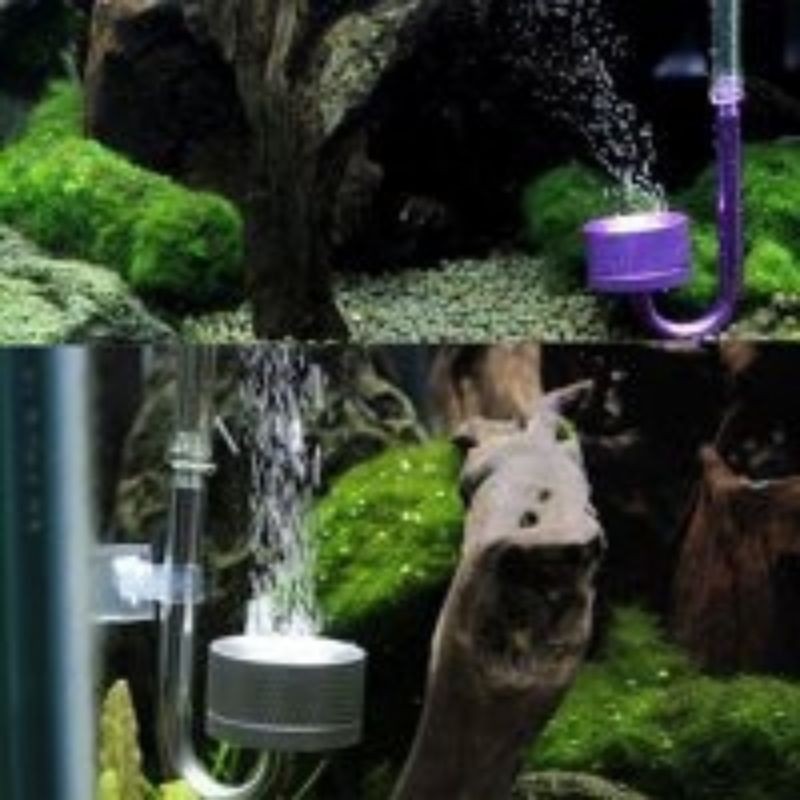 Cốc sủi Co2 Mufan