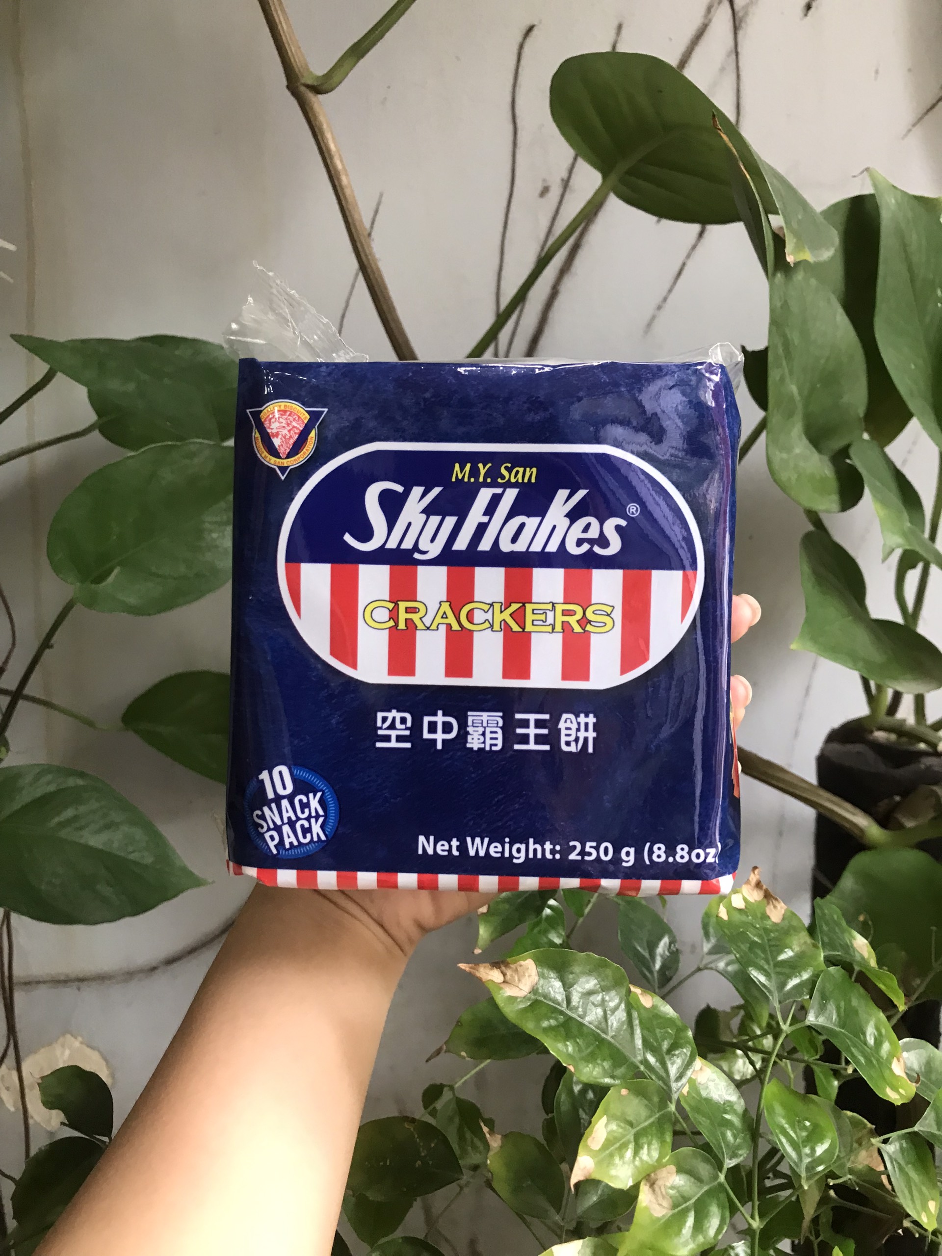 Bánh Quy Ăn Kiêng Sky Flakes Crackers (Gói 250g)