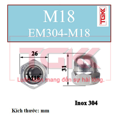 Đai ốc mũ inox 304