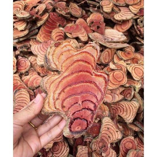 1kg cây cỏ máu