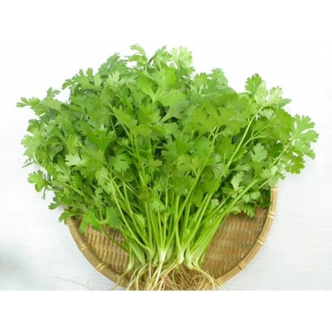 Hạt Giống Ngò Rí ( Rau Mùi ) 20gr