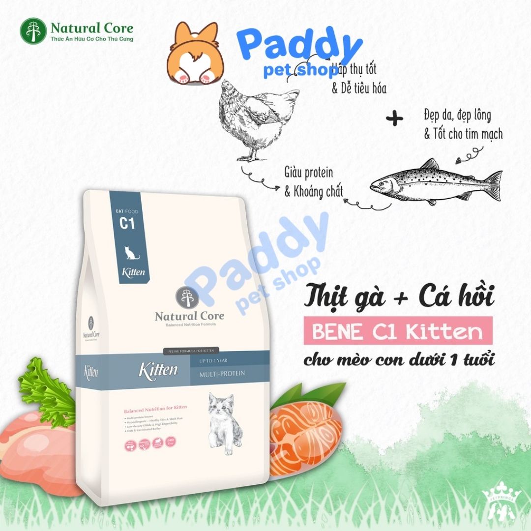 Hạt Mèo Con Hữu Cơ Natural Core Kitten