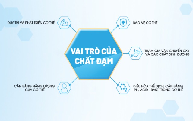 Sữa Bột XO Số 3 800g ( 1-2 tuổi)- Nội Địa Chính hãng
