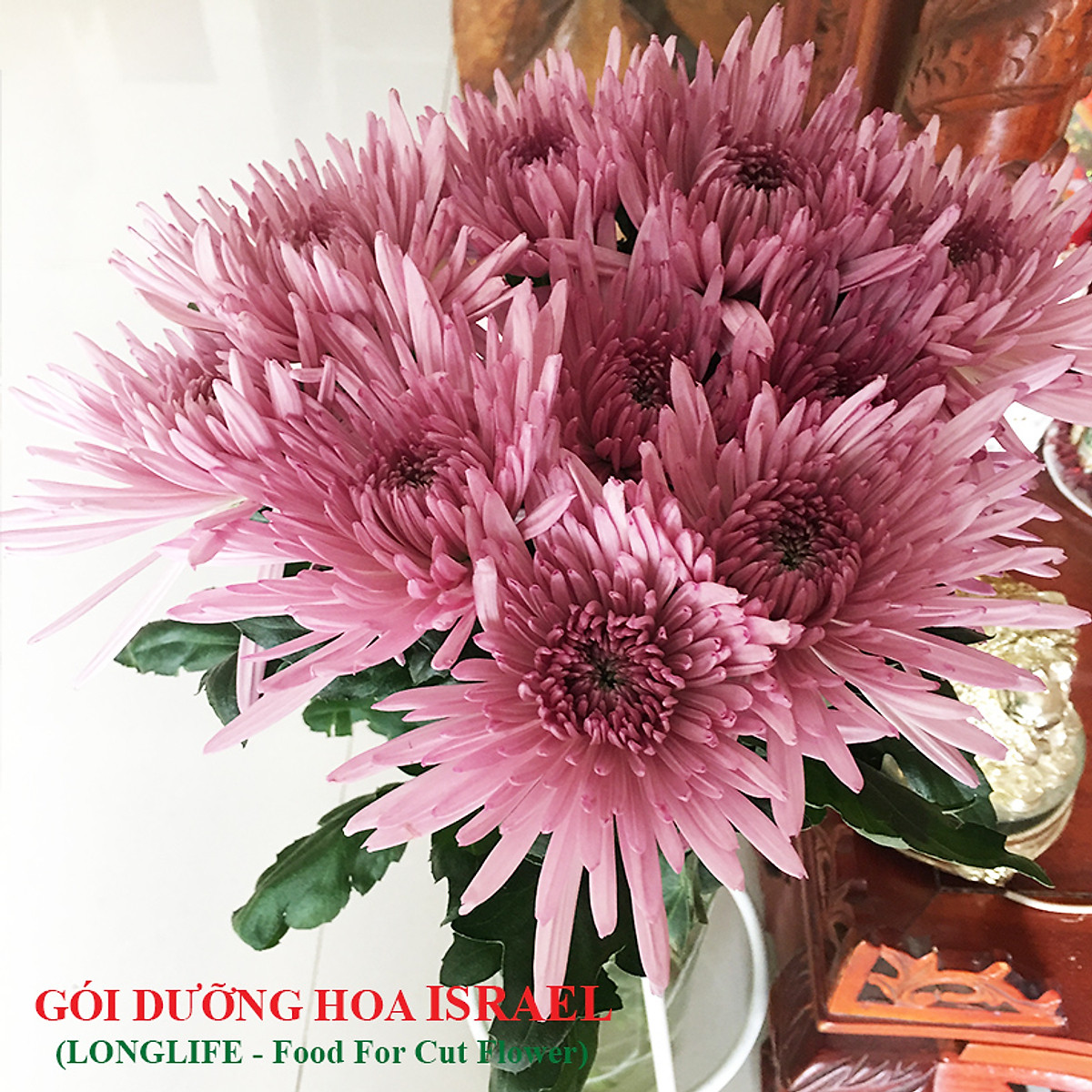 [HCM]Bộ 5 hộp Chế phẩm xử lý hoa Longlife của Israel - Bảo quản hoa cắm bình tươi lâu và 14 ngày không thối nước