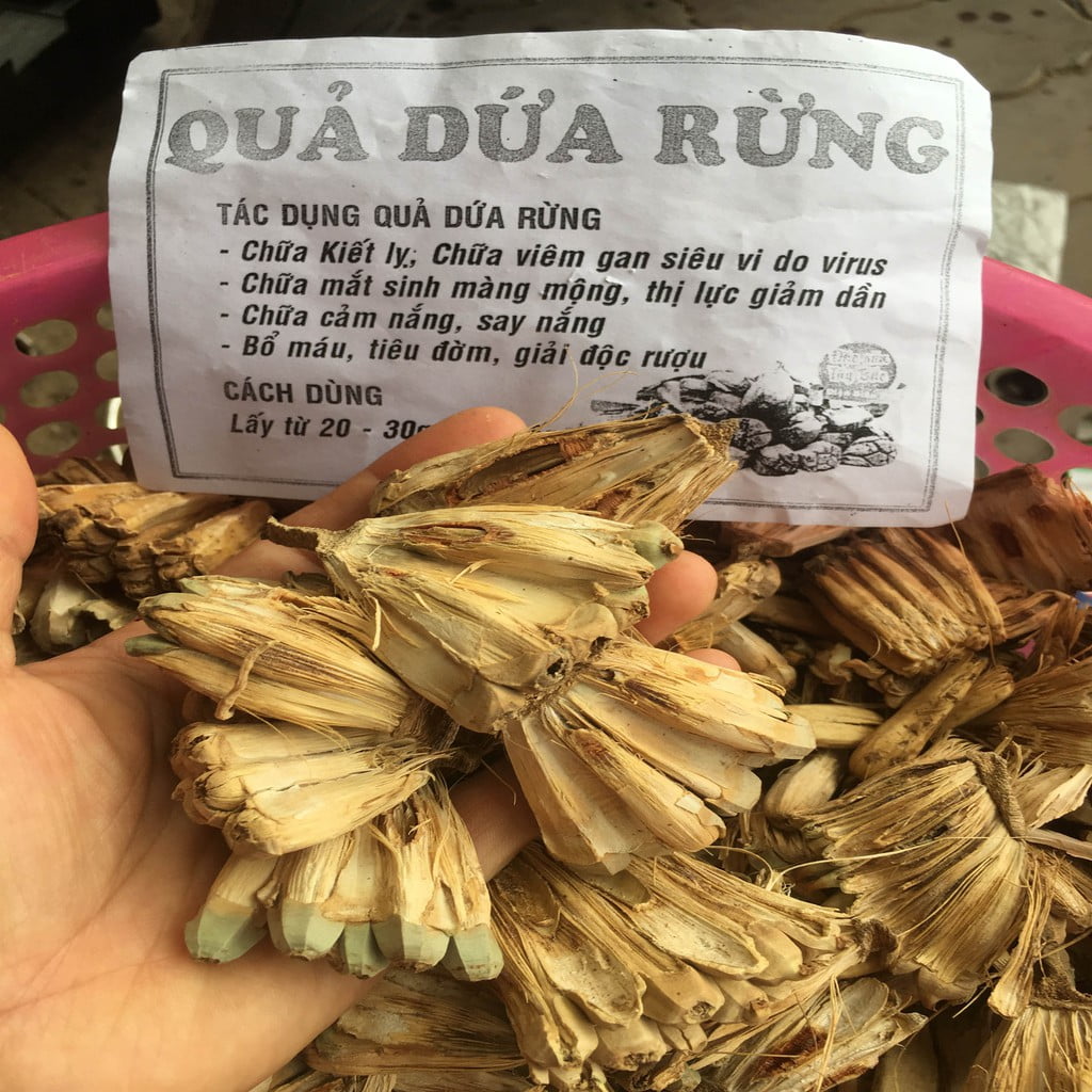 6. Tác dụng giải rượu