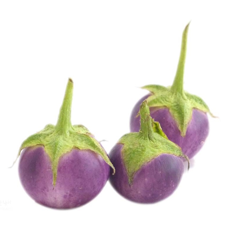 Hạt giống cà pháo tím F1 năng suất cao VTS017 | Vạn Tín Store