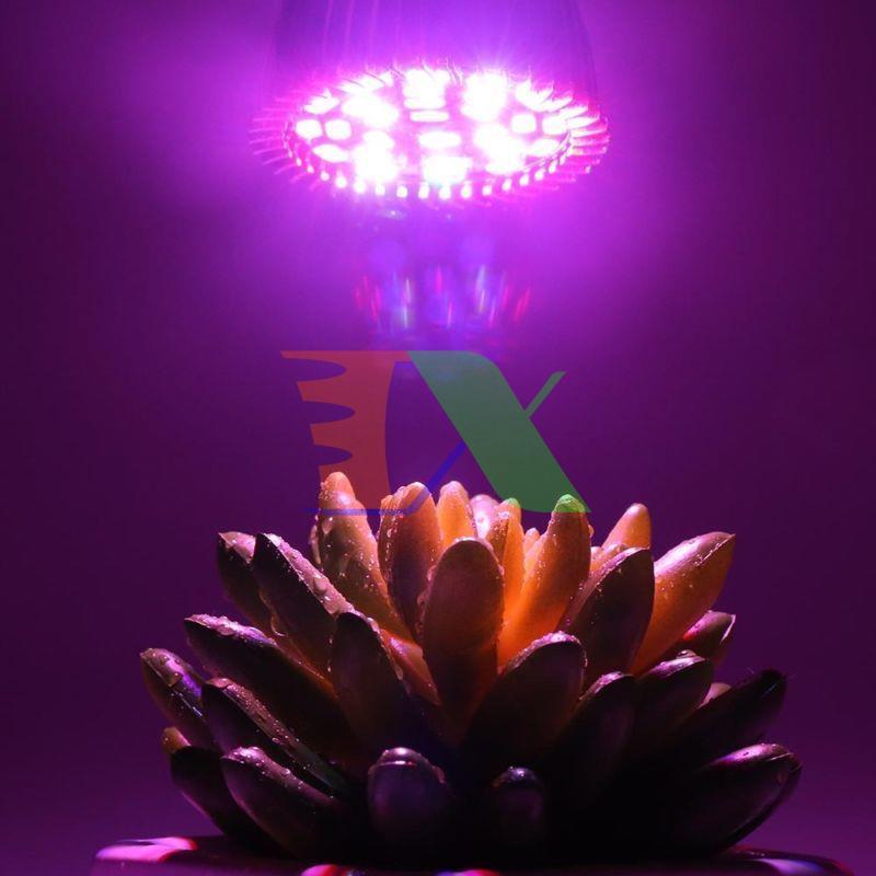 Plant growing lamp, lamp LED Grow Light indoor vegetable, LED Grow Lights E27 10W
