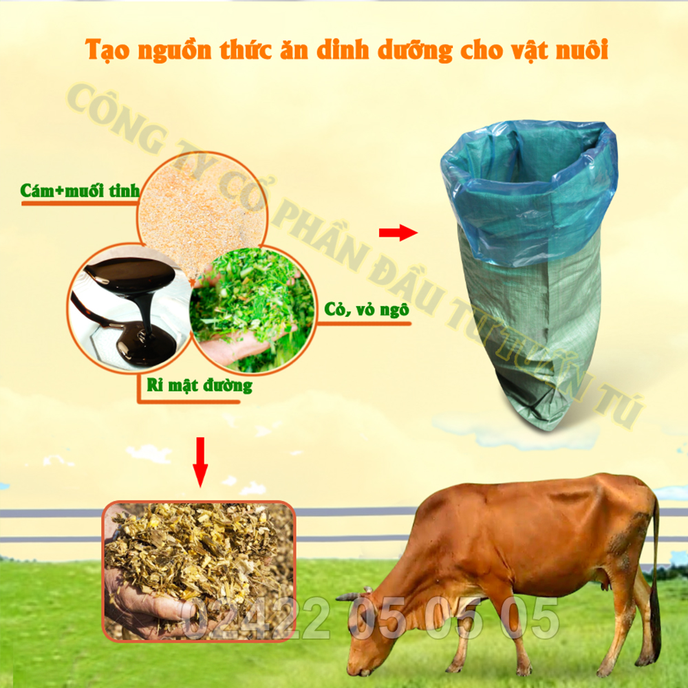 5 Bao ủ chua cỏ cho bò|Túi ủ chua 3A