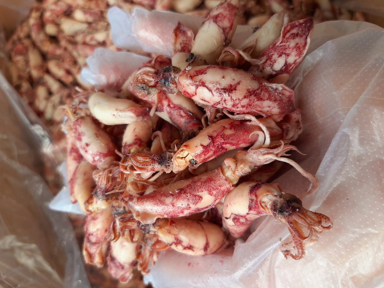 Mực muối nhỏ 500 gr
