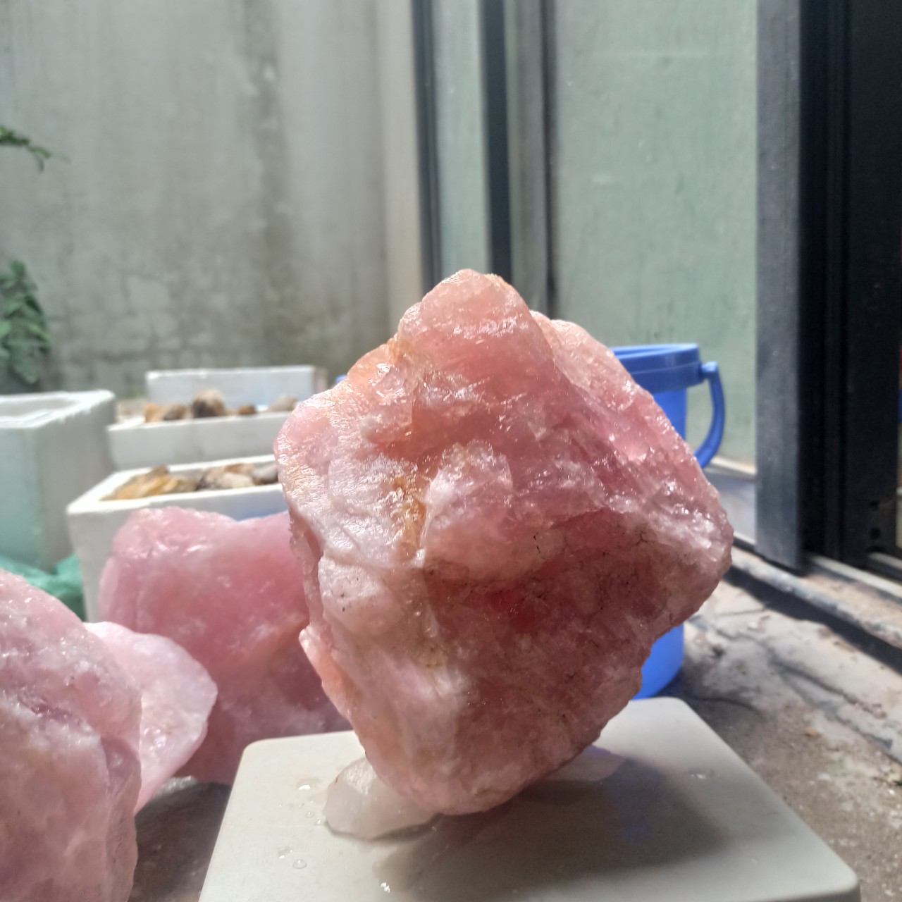 01 Viên Hồng Raw Rose BigSize (3-5kg)