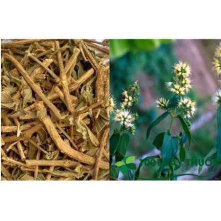 500gr cây dạ cẩm khô xanh thơm sạch