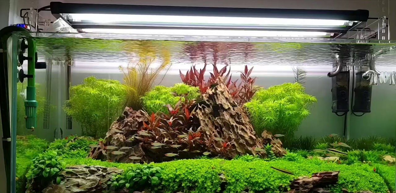 Cốt nền thủy sinh Đức JBL Florapol