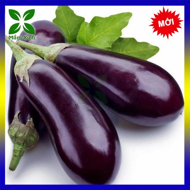 Hạt Giống Cà Tím F1 Tomawak Gói 1g