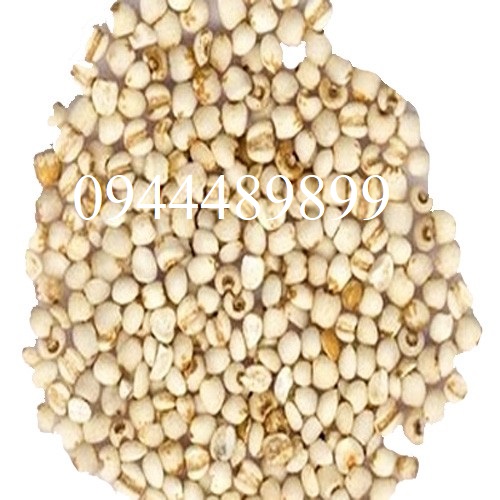 [Quà Tết ] Hạt bobo (ý dĩ) loại ngon 100g