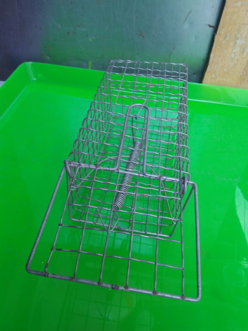 bộ 2 cái Lồng bẩy chuột , bẫy sóc loại trung