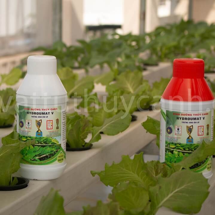 Dung Dịch Thủy Canh Rau Ăn Lá Hydro Umat V (Bộ 2 Chai)