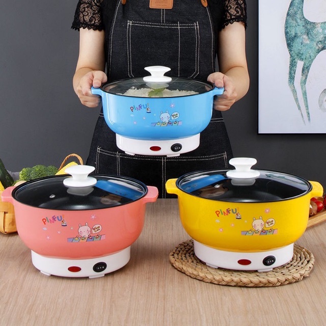 Nồi lẩu điện inox size 26 cm