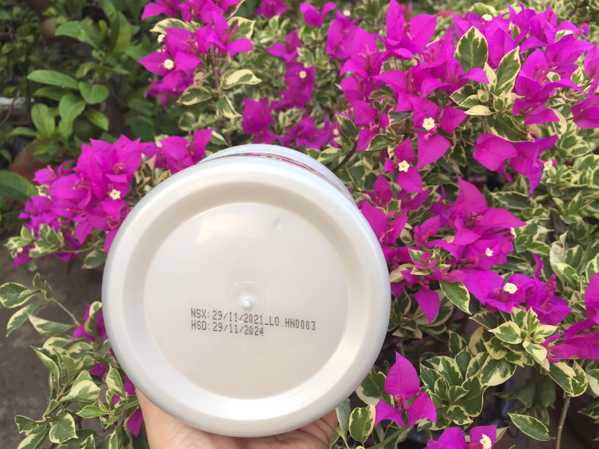 Hấp dầu hoa Sen 500ml