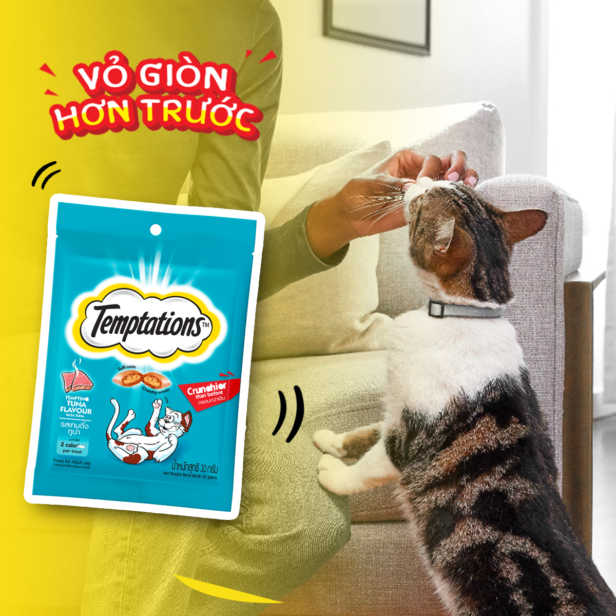 [Quà tặng không bán] Bánh thưởng cho mèo Temptations vị cá ngừ 30g