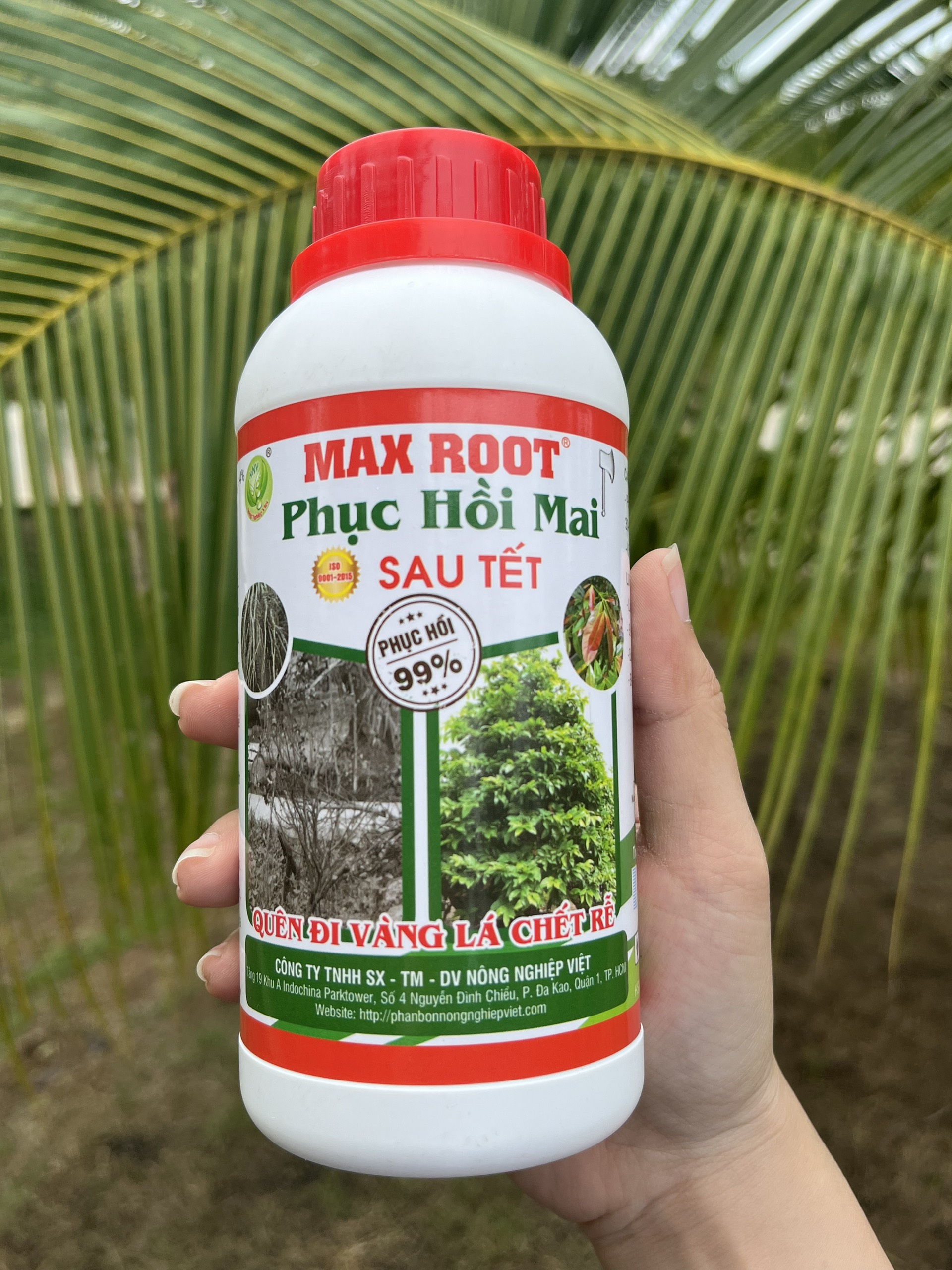 MAX ROOT _ PHỤC HỒI MAI SAU TẾT CHAI 500ML