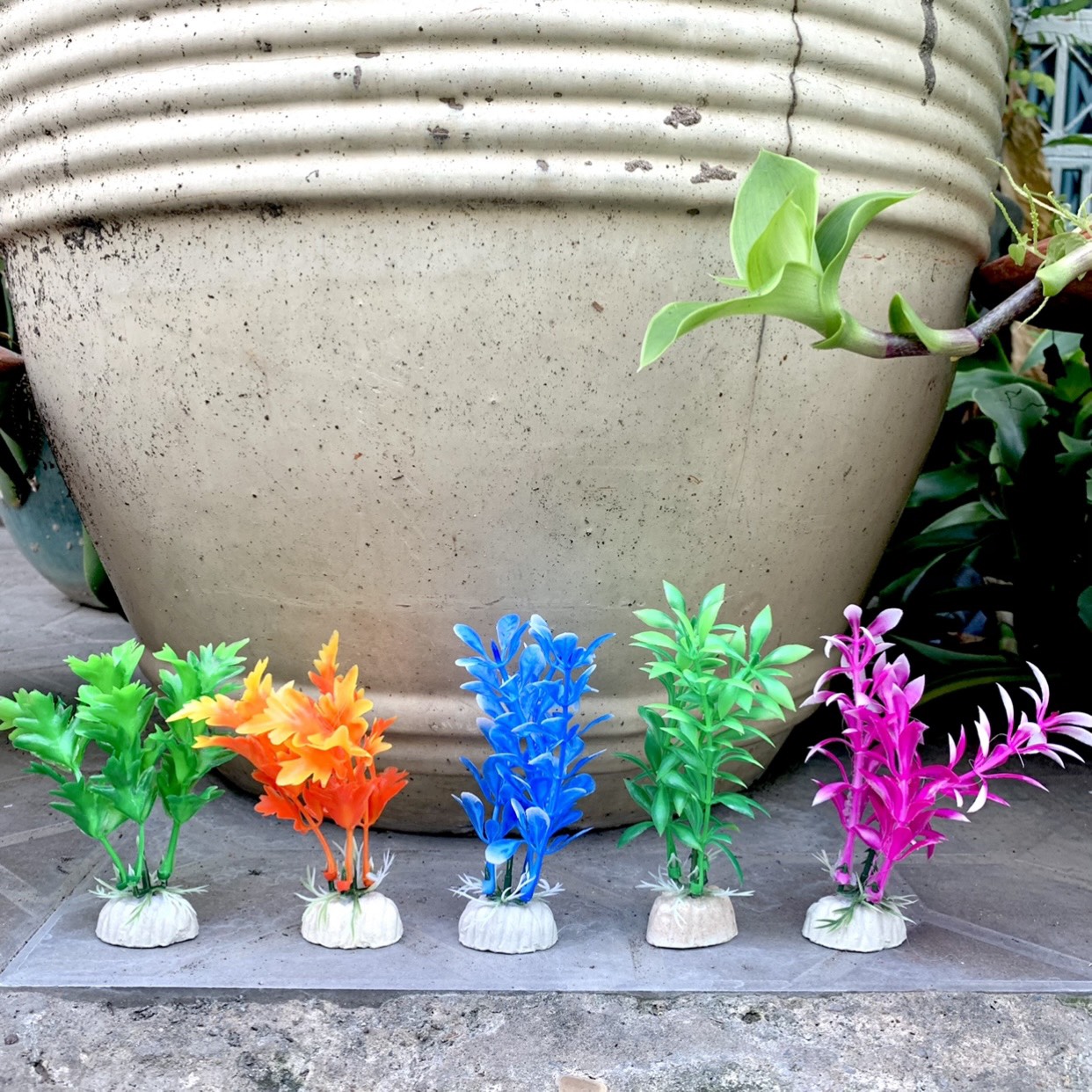 [HCM]Bộ 5 Cây rong Mini  Khoảng 12cm x 5cm Mỗi Cây) - Đồ Trang Trí Hồ Cá.