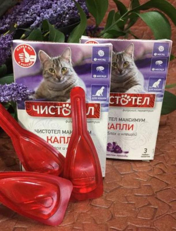 Nhỏ gáy cho mèo hộp 3 tuýp nhập Nga