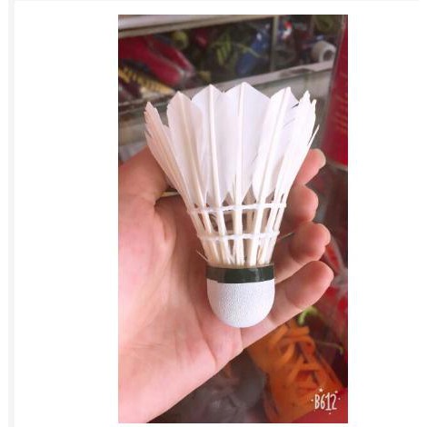 CẦU LÔNG HẢI ÂU CAO CẤP - HỘP 6 QUẢ