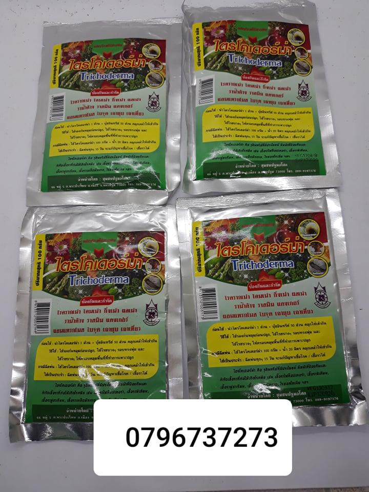 100gr Thuốc lưu dẫn diệt côn trùng - STARKLE - G ( hàng Thái có hướng dẫn tiếng Việt)
