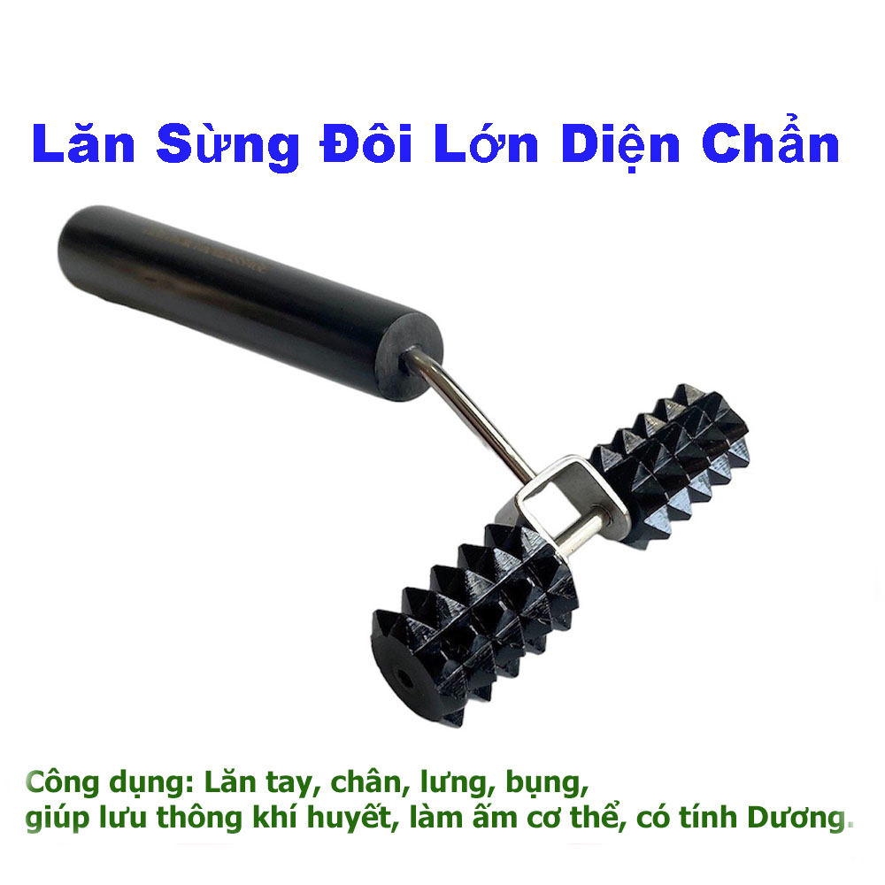 Lăn Sừng Đôi Lớn - Dụng Cụ Diện Chẩn
