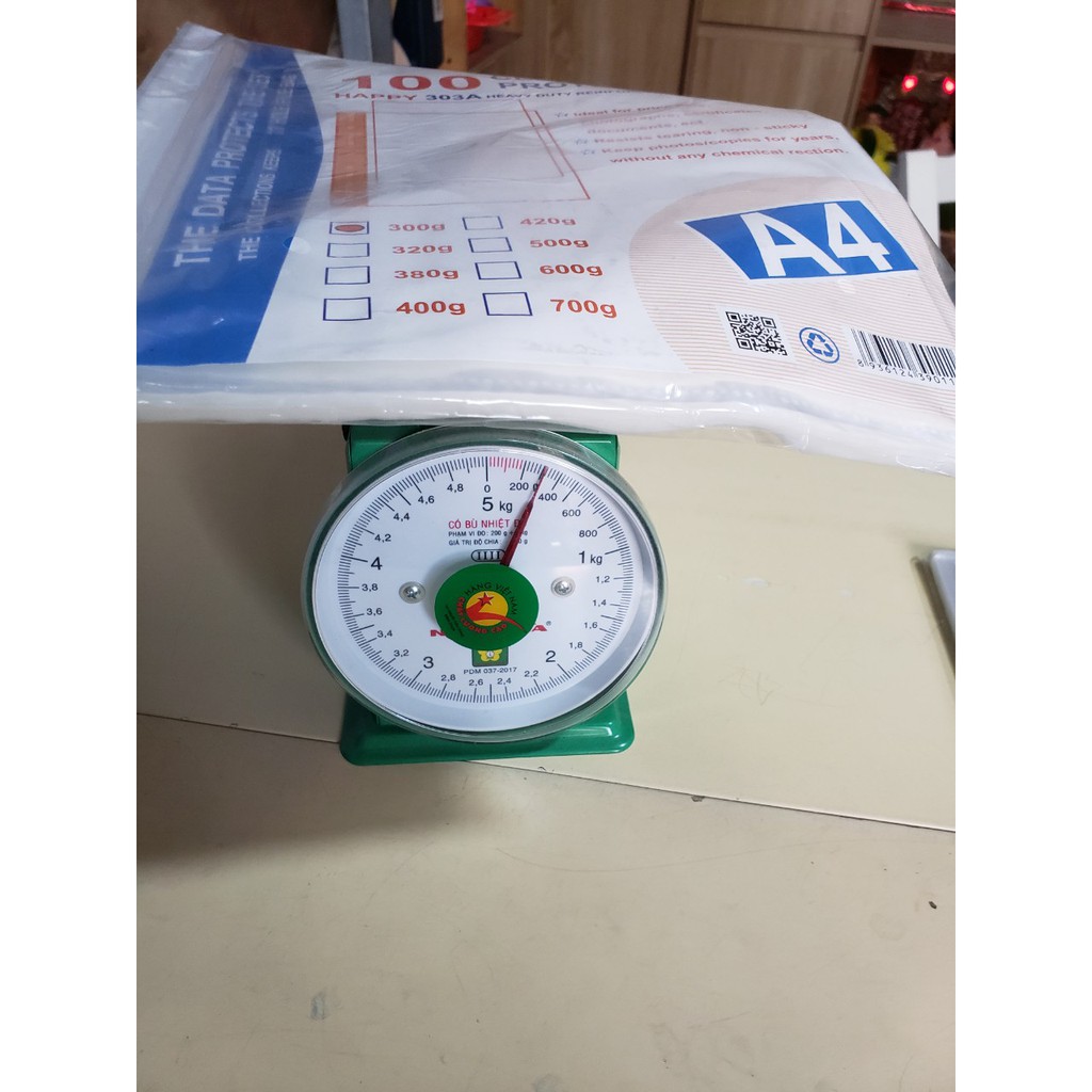 Bìa lỗ A4 (1 Xấp 100 tờ)