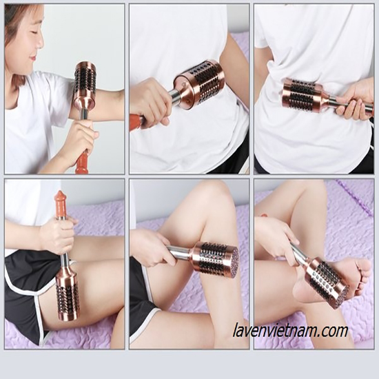 Cây Lăn Ngải Đồng Đôi