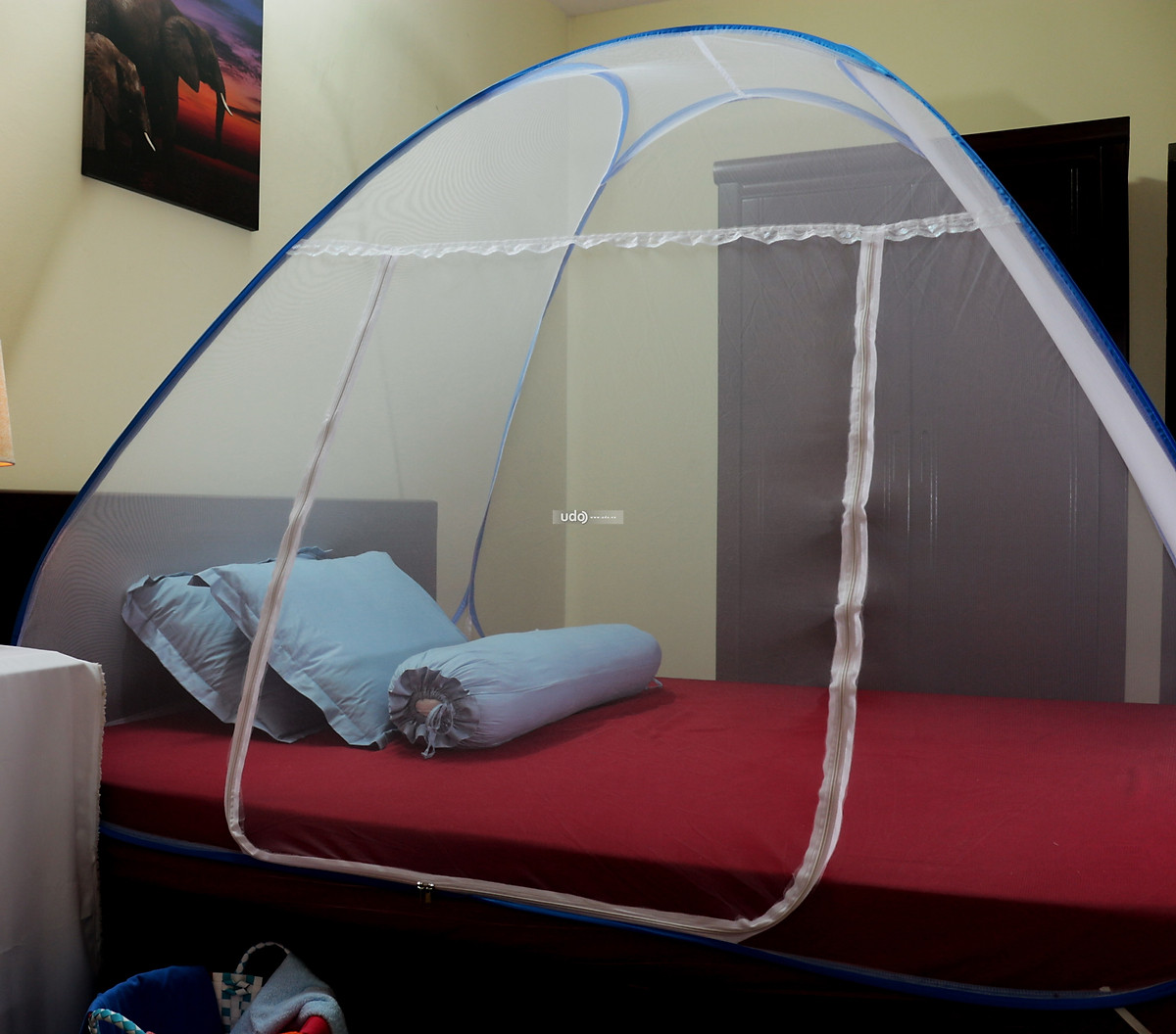 Màn Chụp Tự Bung Đỉnh Chóp 2M2 X 2M