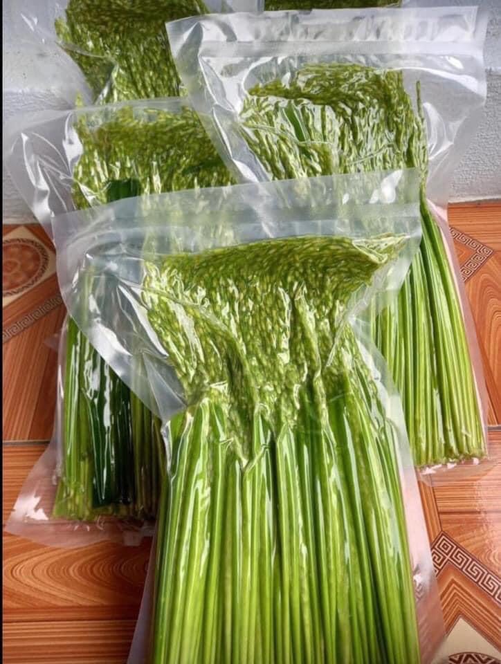 [Giá tận ruộng] 1Kg đòng đòng lúa nếp