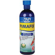 Api pimafix pond 473ml - dung dịch kháng khuẩn cho cá rồng, koi