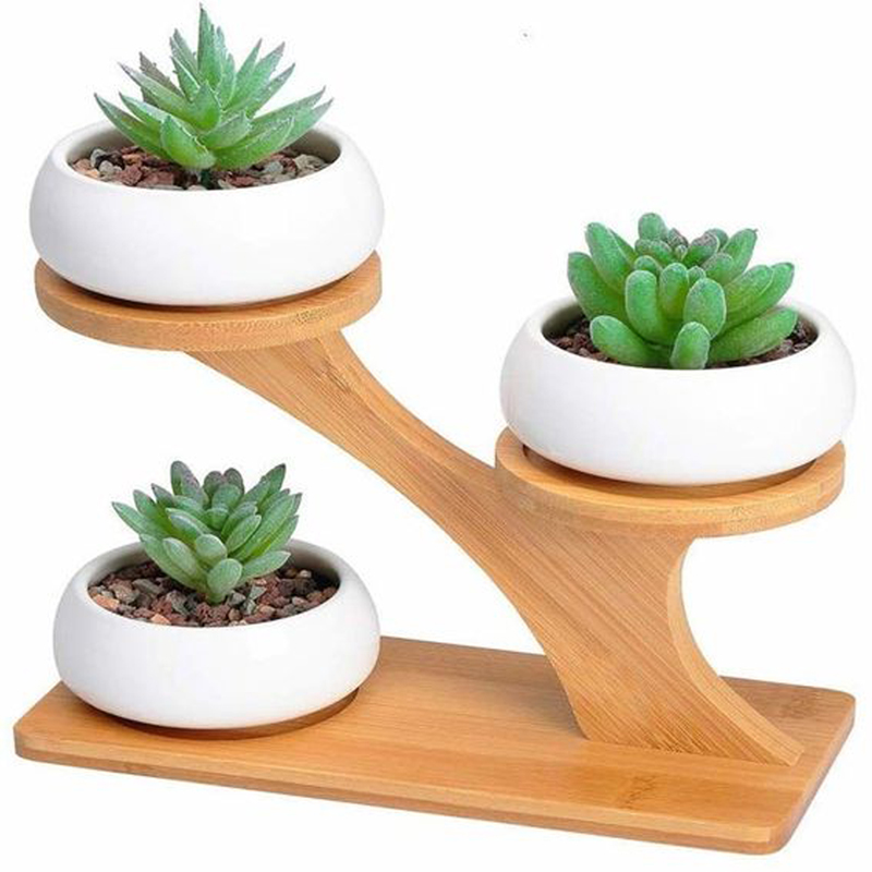 Kệ để sen đá, tiểu cảnh mini