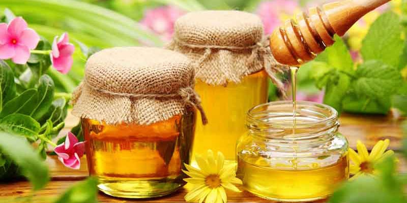 Mật ong nguyên chất hoa cà phê Daklak 1L