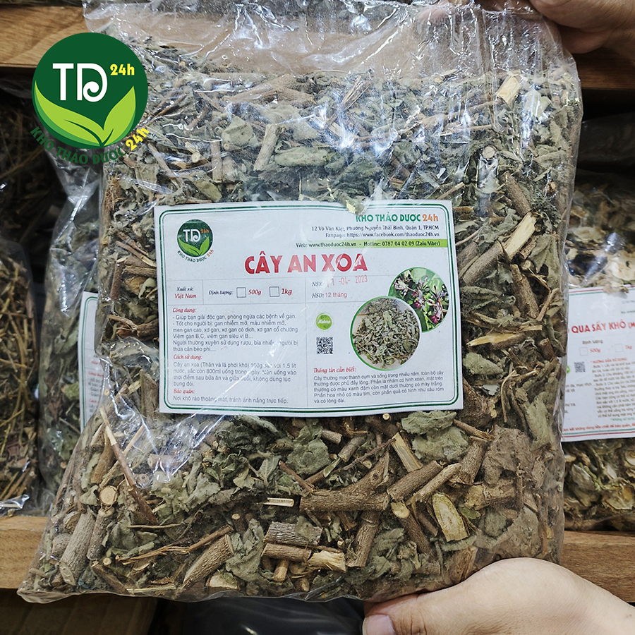 Cây An Xoa khô Hòa Bình, thảo dược quý làm mát gan, giải độc, hạ men gan, ngừa xơ gan, bảo vệ lá gan cho cả gia đình I Kho thảo dược 24h