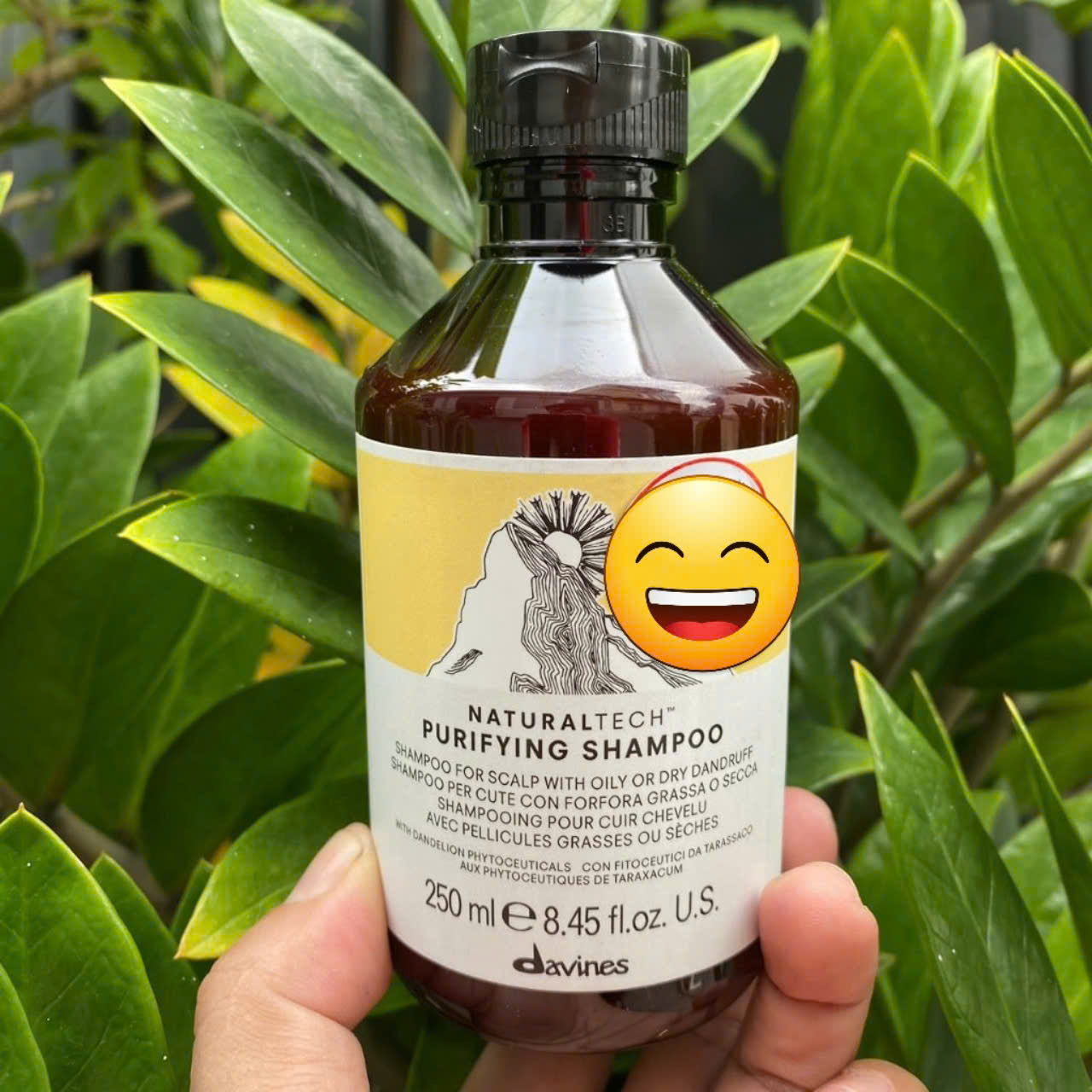 Davines Naturaltech Purifying Shampoo - 250ml