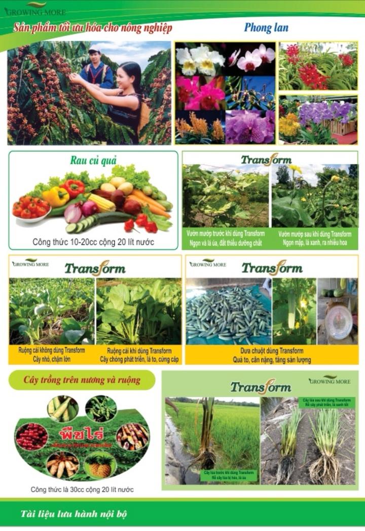 Phân bón Nano Thái Lan Stranform Công thức 1