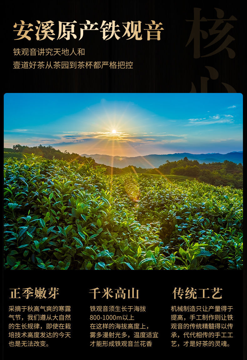 Trà Thiết Quan Âm An Khê Hảo Hạng Đóng Hộp (250 gram)