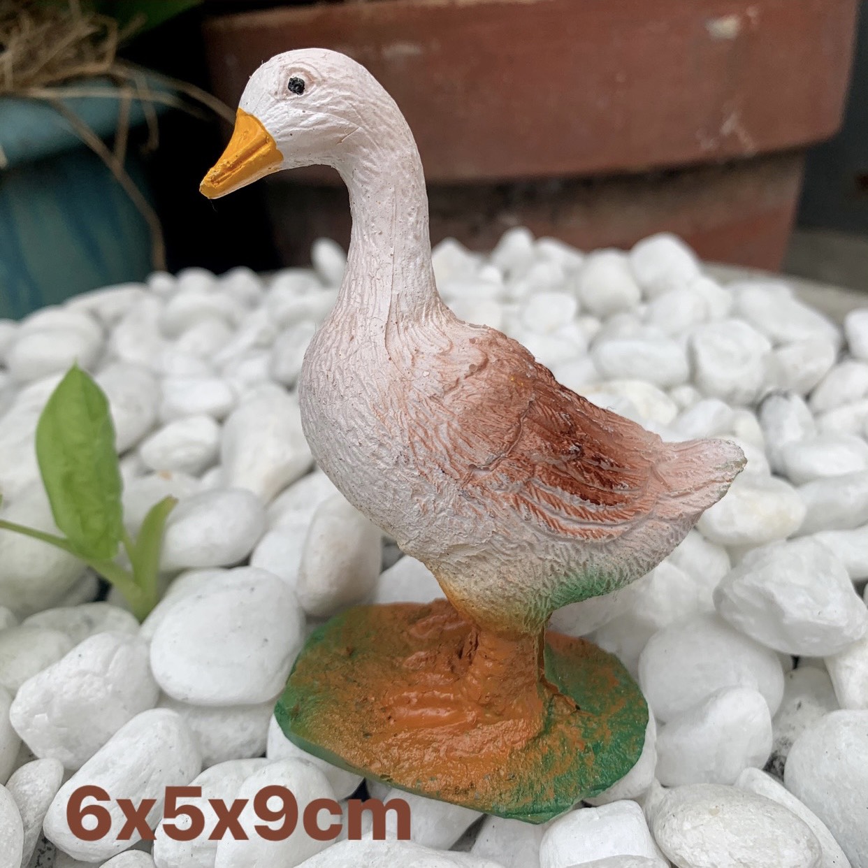 Vịt cái máu trắng trang trí hồ cá sân vườn...
