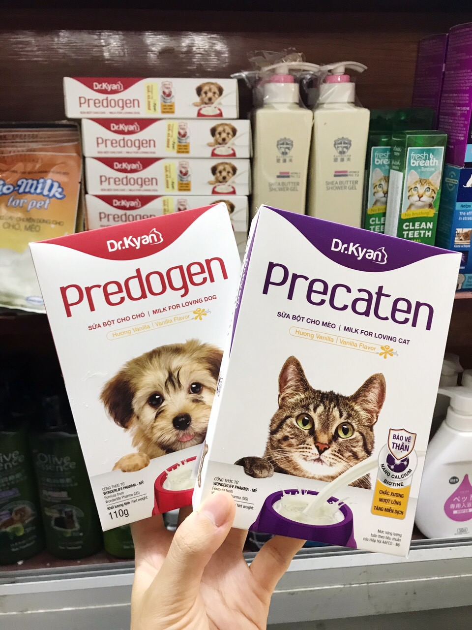 Sữa bột cho chó - mèo Precaten 110g