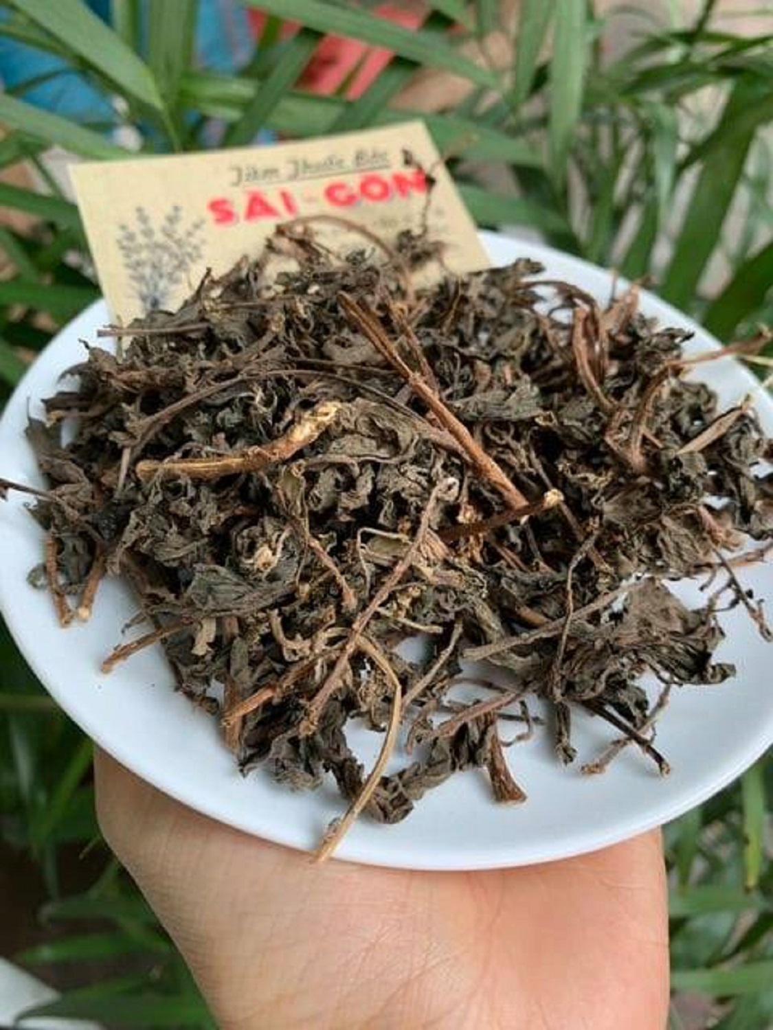 [HCM]CÂY THU ỐC DÒI 500GRAM Tiệm Thuốc Bắc Sài Gòn