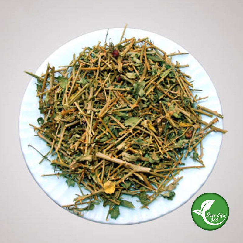 Cà gai leo khô [1KG] Cam kết hàng sạch đẹp