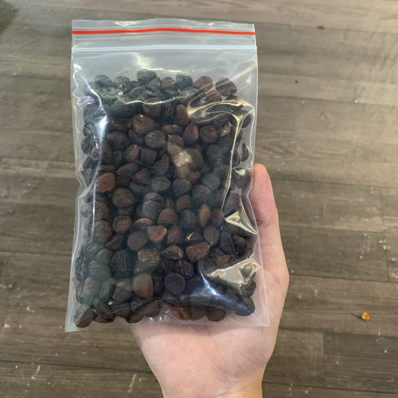 Hạt Dổi Nếp rừng Tây Bắc siêu thơm ngon - gia vị làm chẩm chéo