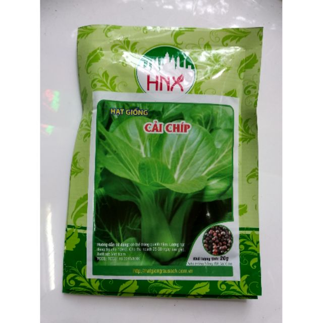 Hạt giống rau cải chíp